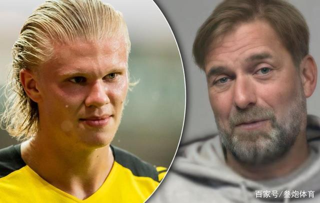 区域深耕 区域深耕